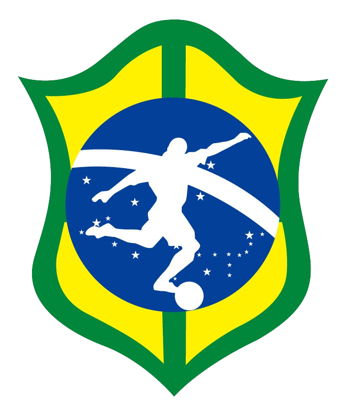 Brazilian Soccer Club shield