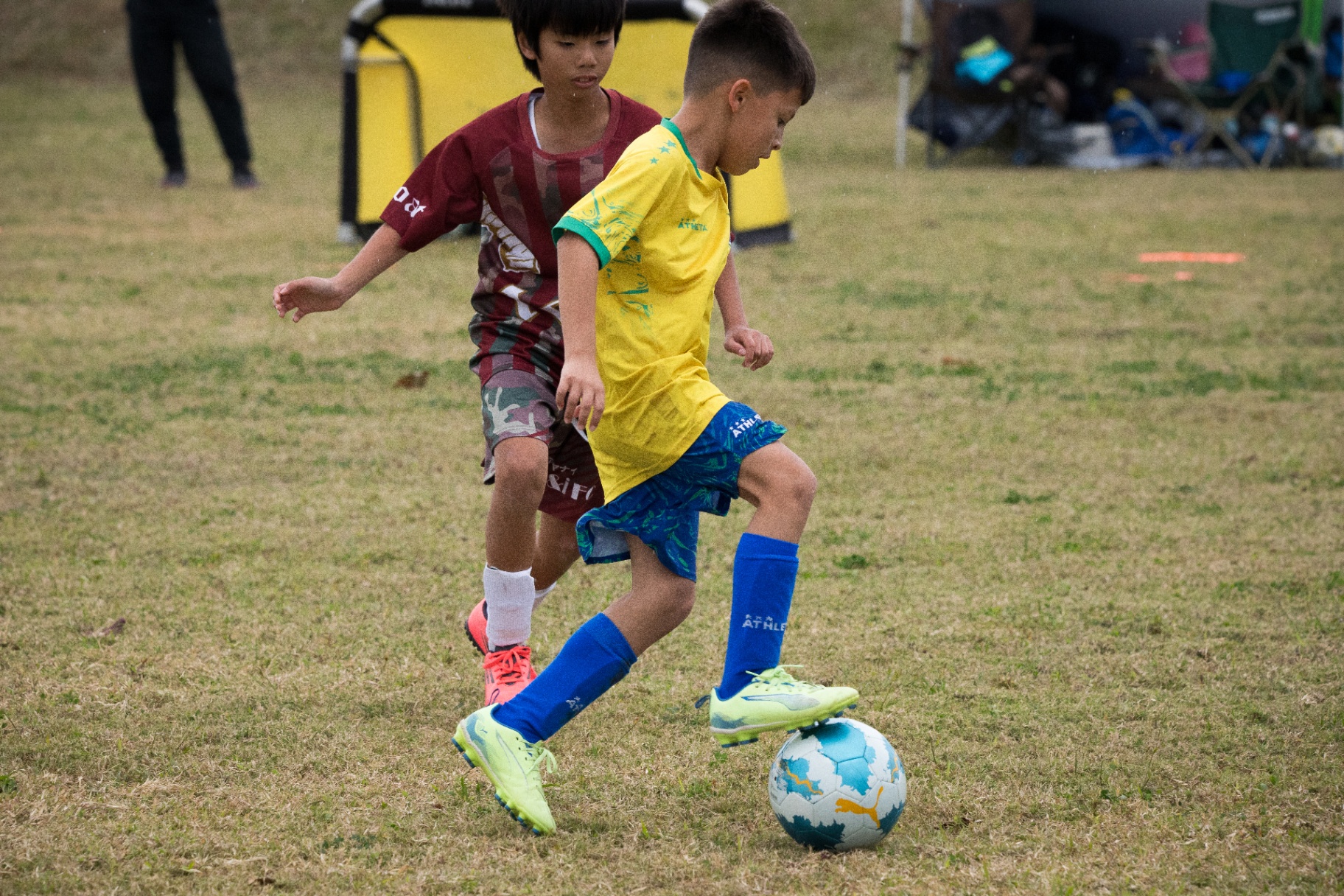 BSC action